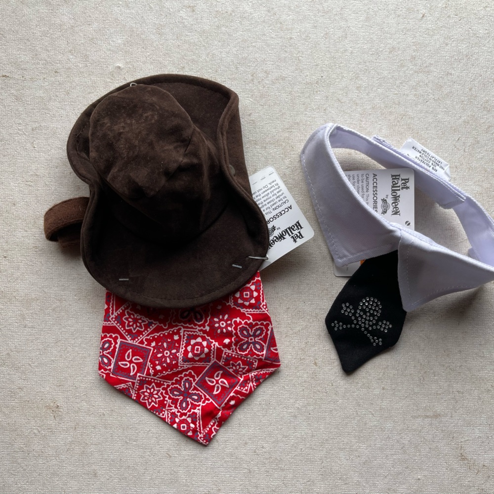 Cowboy Hat & Bandana and Skull Collar Tie set of 2 dog costumes